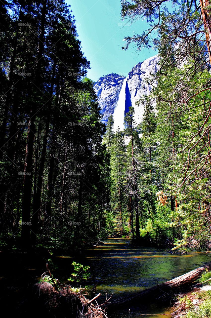 Yosemite falls 