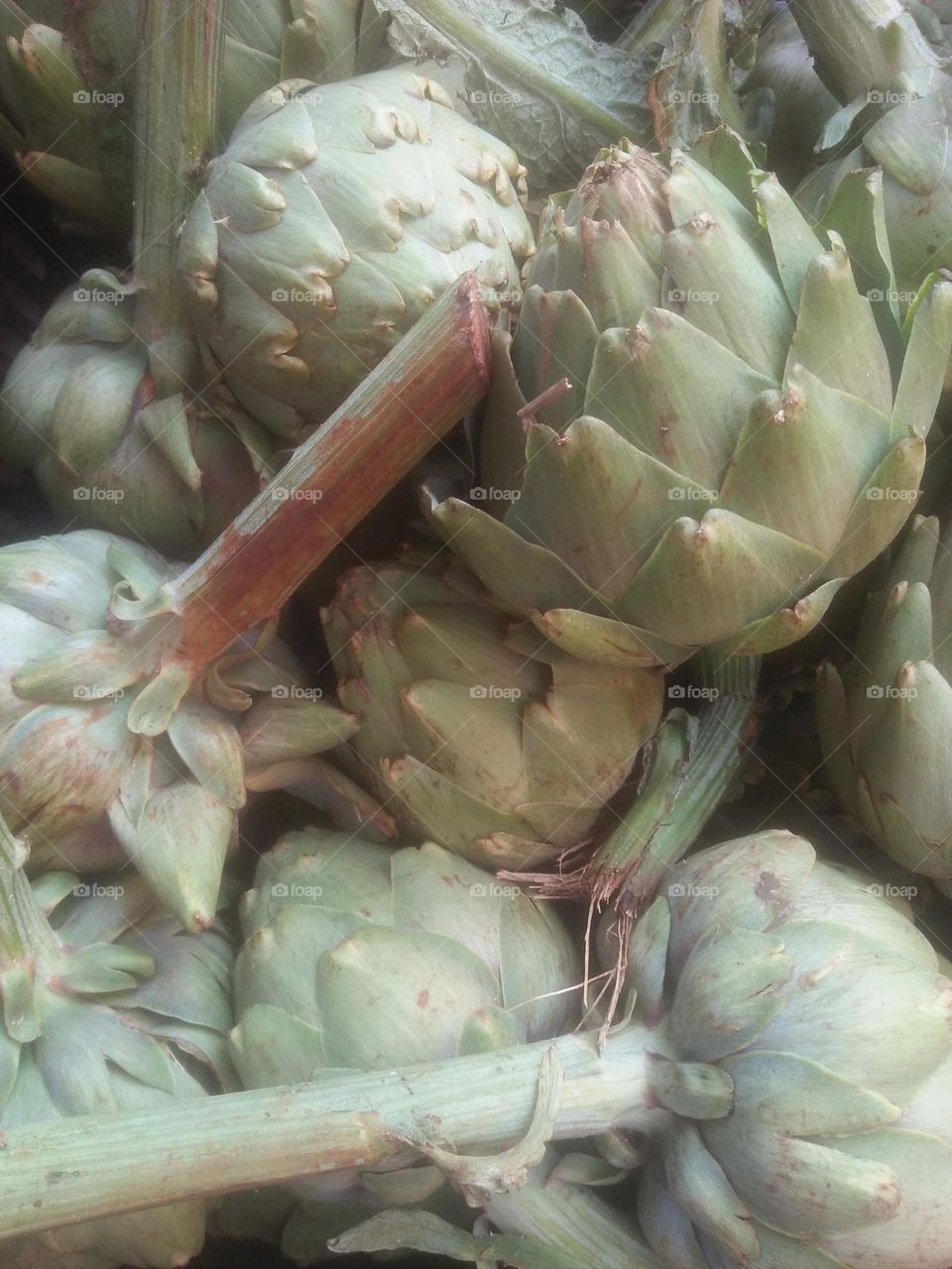 artichoke