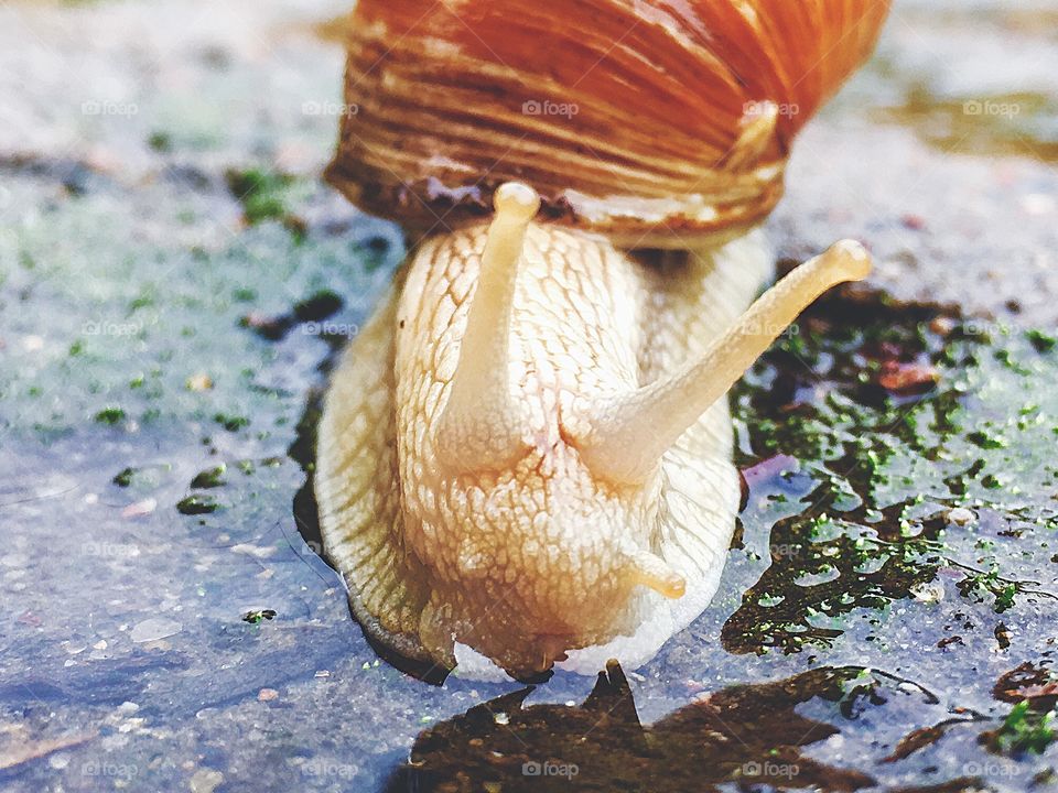 Captured with iPhone 6s Plus 