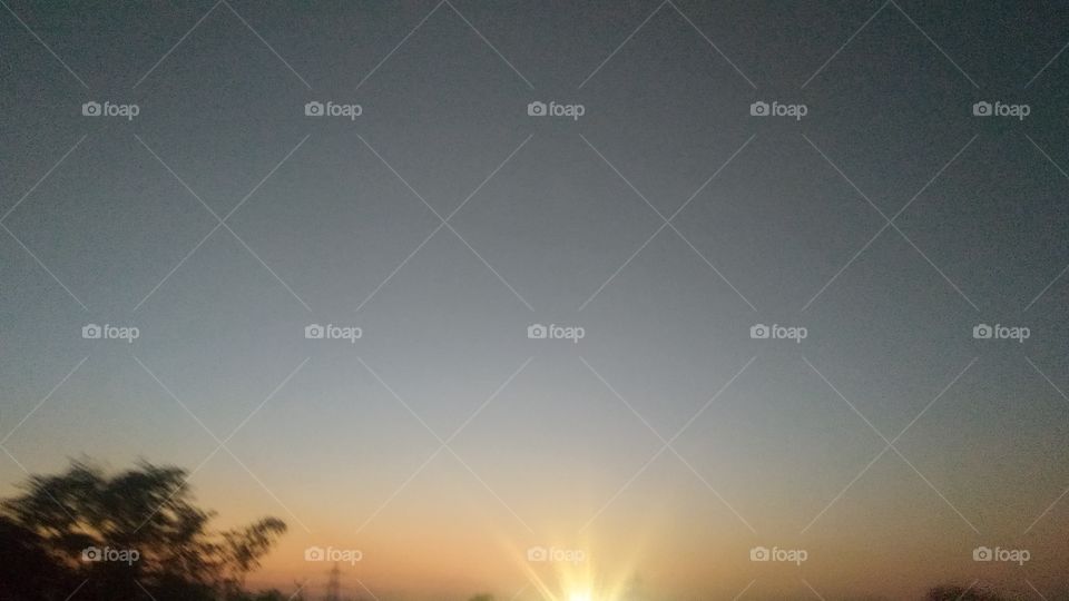 Shine ⭐✨ evening