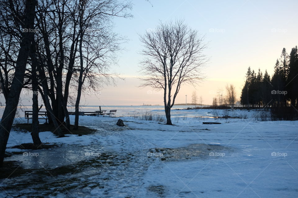 Winter, Snow, Tree, Water, Landscape