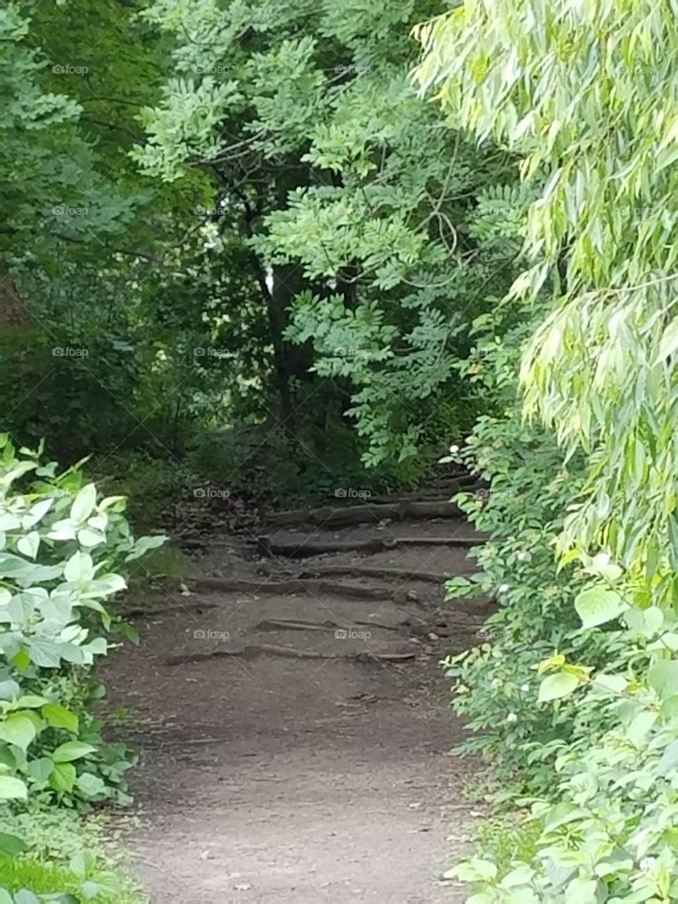 Path to nowhere