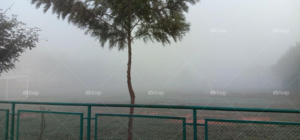 finally my campus vanished in fog🥶❤️