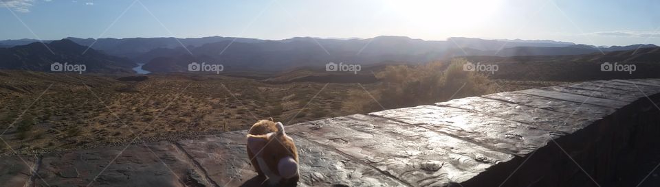 Pigglett outside of Hoover Dam on our way to Tennessee