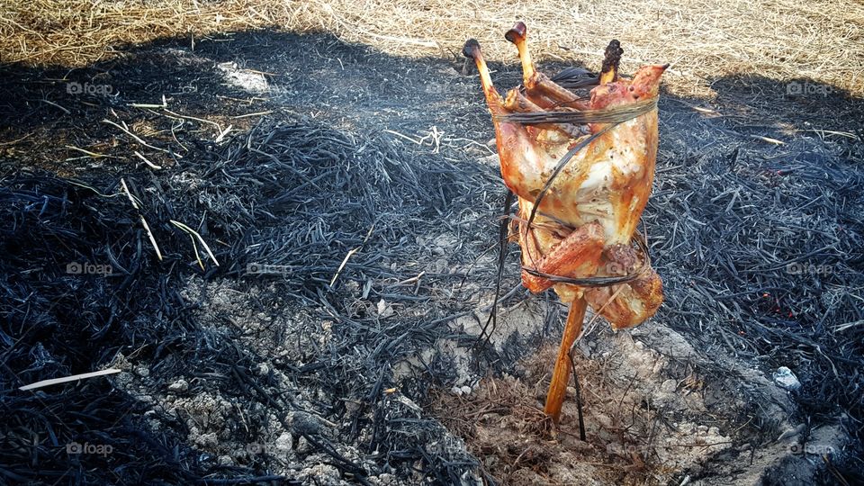 Roast Chicken by bukket and chaff in the field