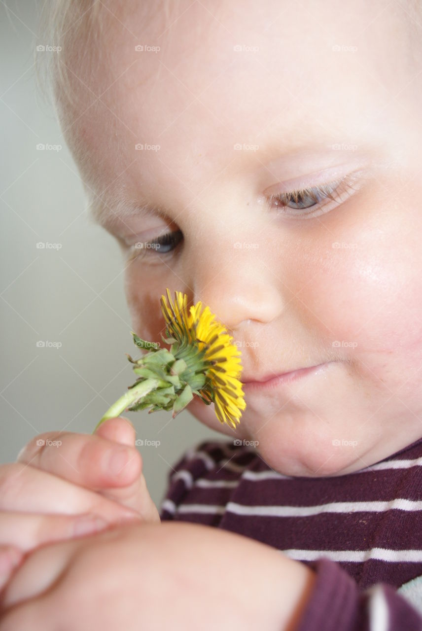 Close-up of little boy smelling flower