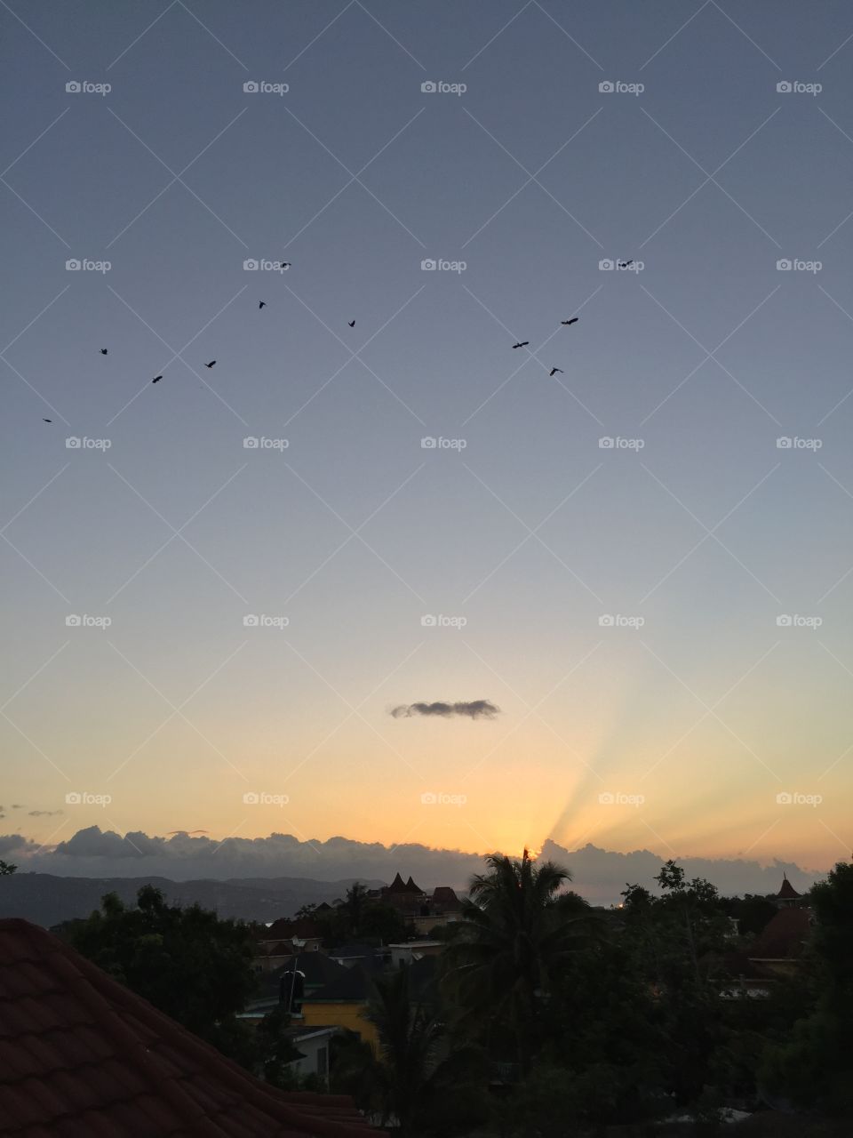 The nice flock of birds flew into the sunset as the sun drifted away to be somewhere else 