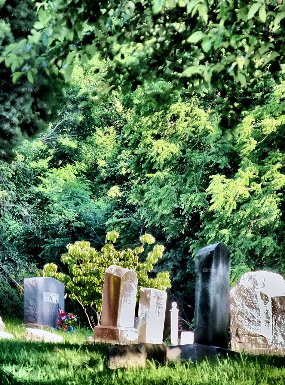 graves cemetery by silkenjade