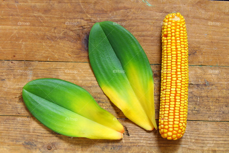 leaf and corn