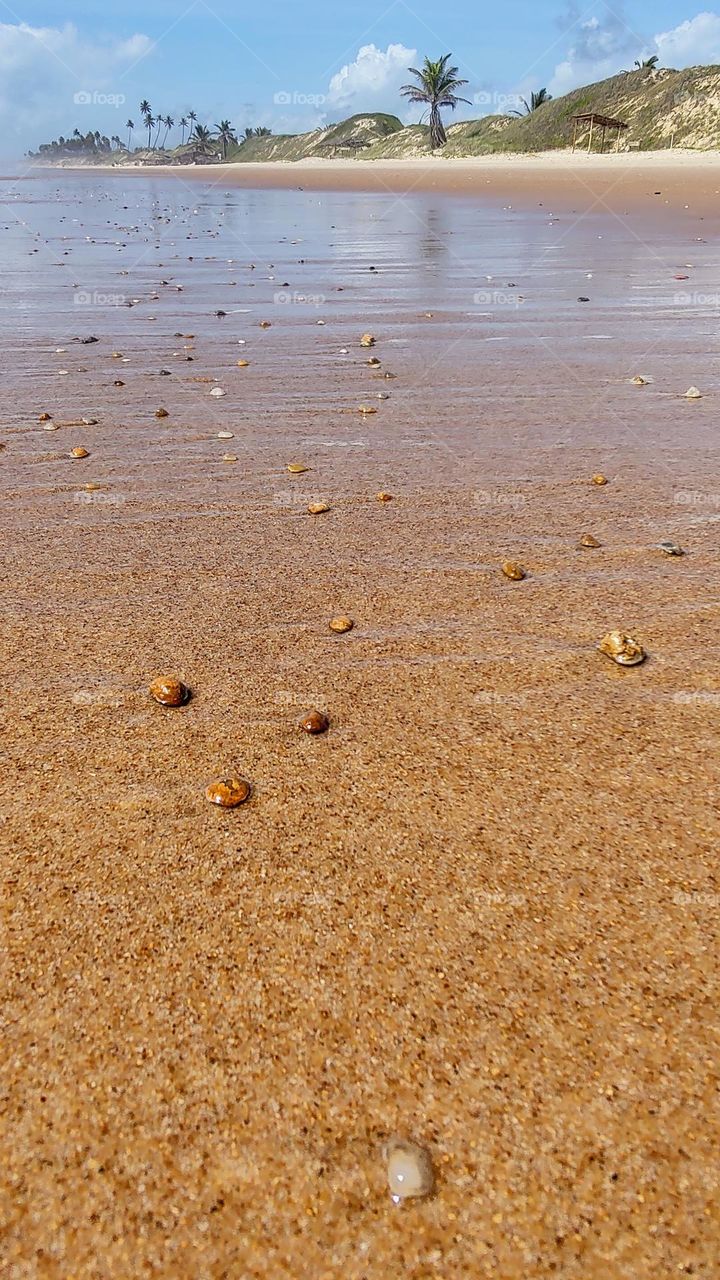 A beautiful Bahian beach at low tide, leaves its shells and pebbles in the wet sand.