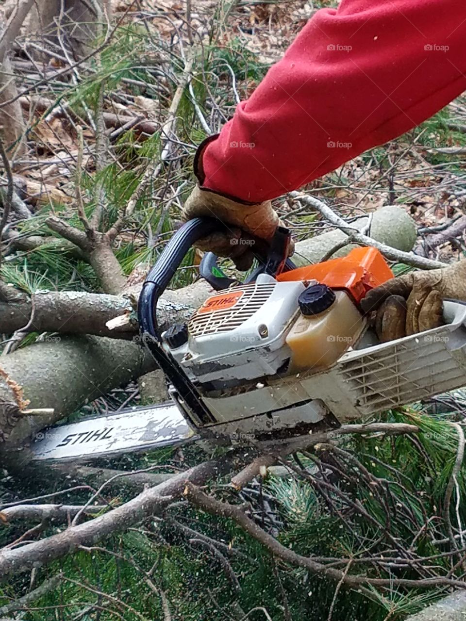 Man using Stihl gas chainsaw cutting pine limbs, older Stihl saw still working great if you take care of them. All original, orange & white.