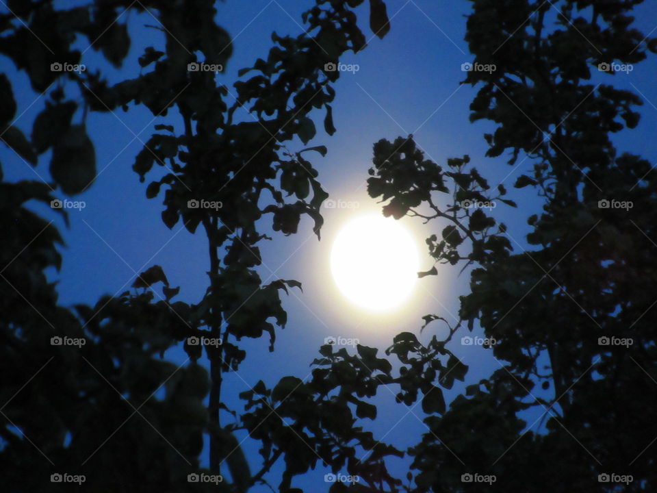 full moon in June 2020